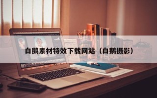 张北白鹅素材特效下载网站（白鹅摄影）